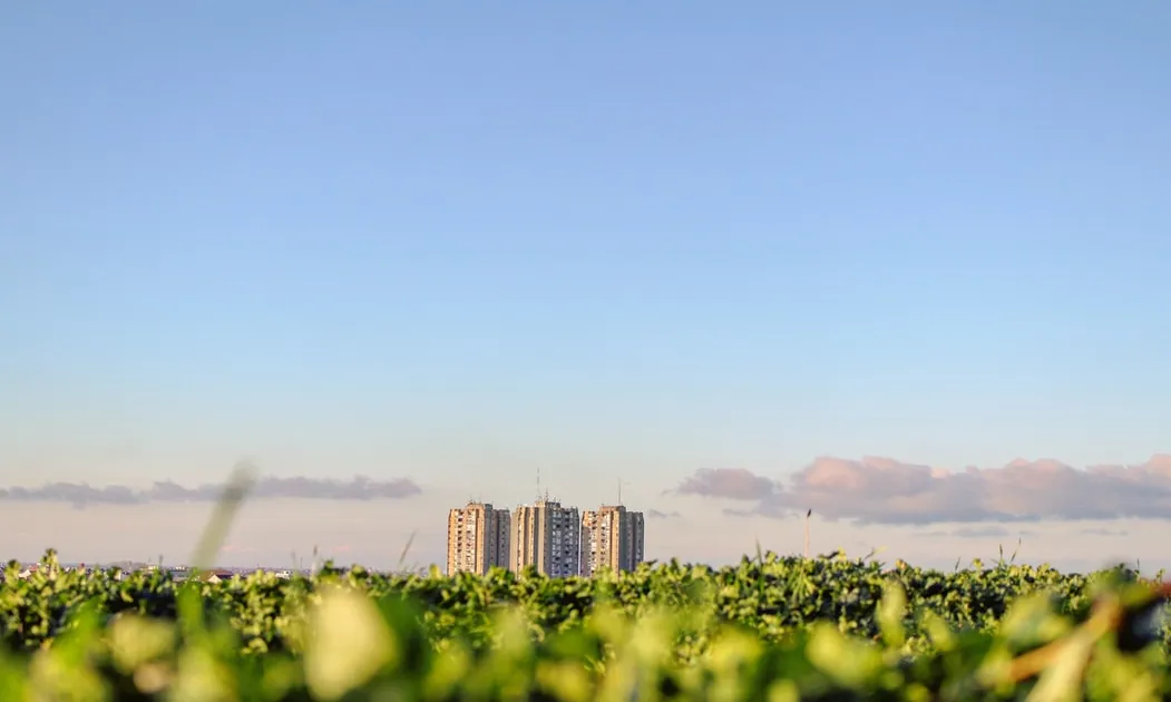 L'entitat defensa que els equipaments públics han de ser edificis i espais verds exemplificants. Font: Unsplash.