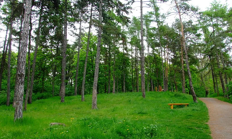 Medi mabient. Font: Brno-Židenice a commons.wikimedia.org