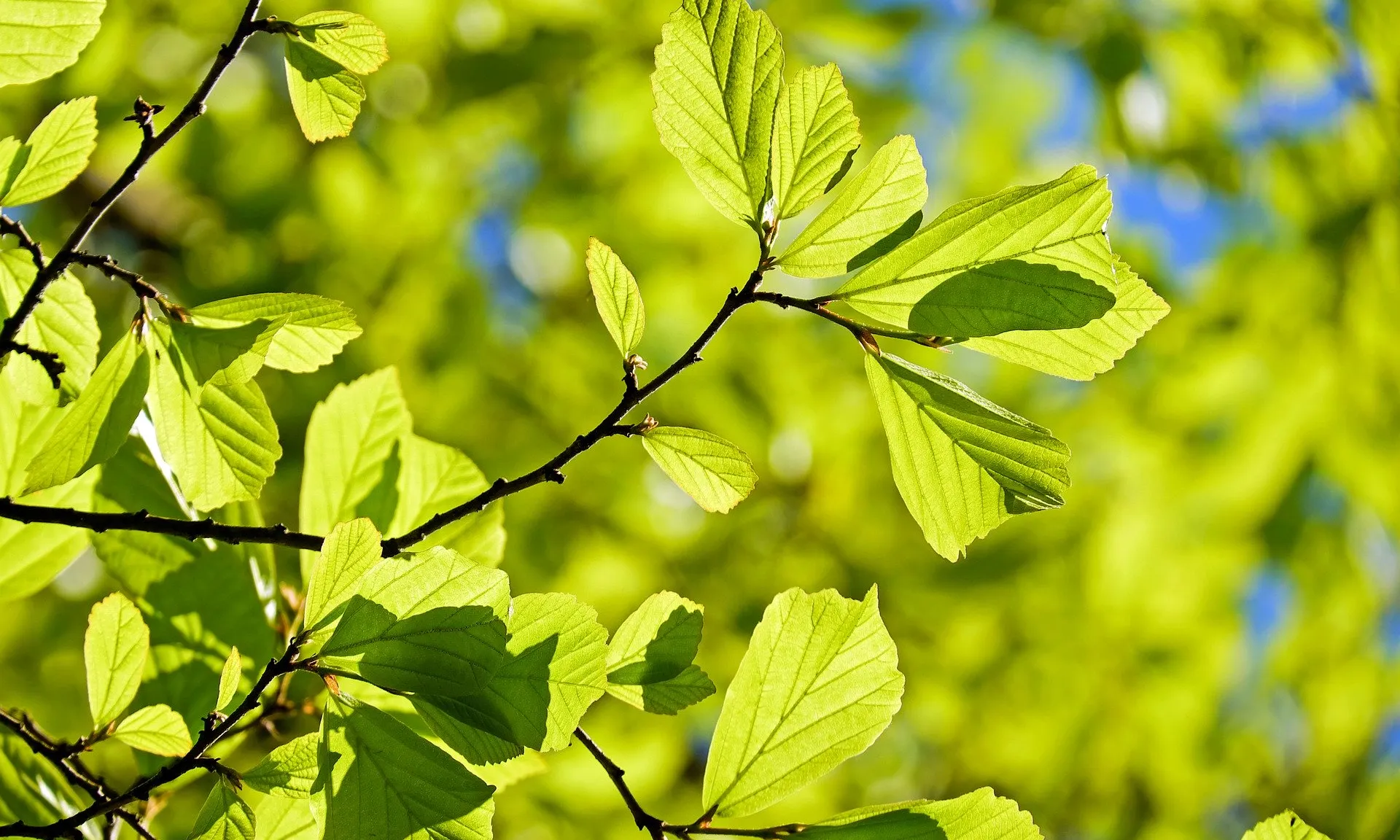 L'Agència vol crear una llei de la biodiversitat a Catalunya.