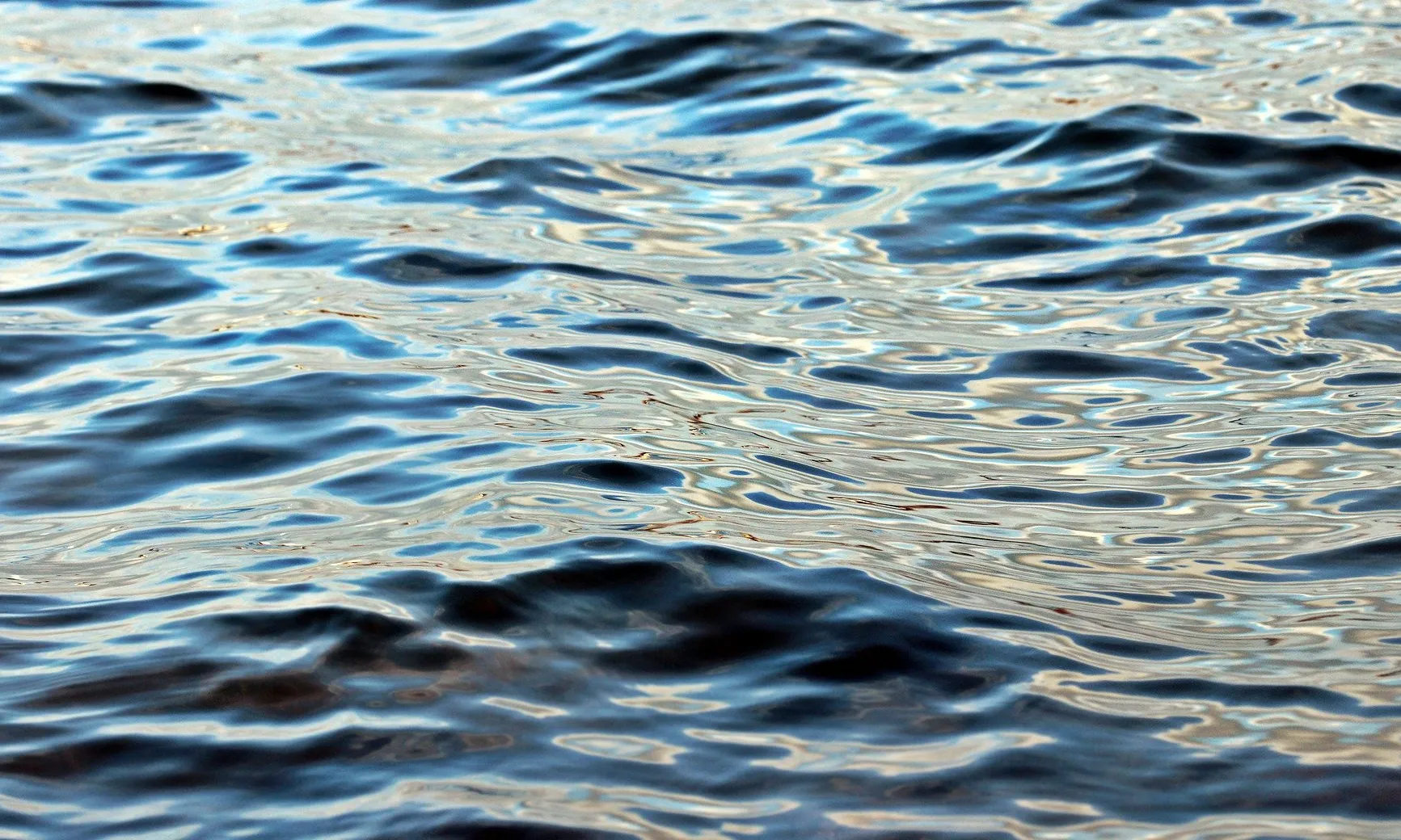 S'ha de donar una resposta efectiva a la crisi actual. 