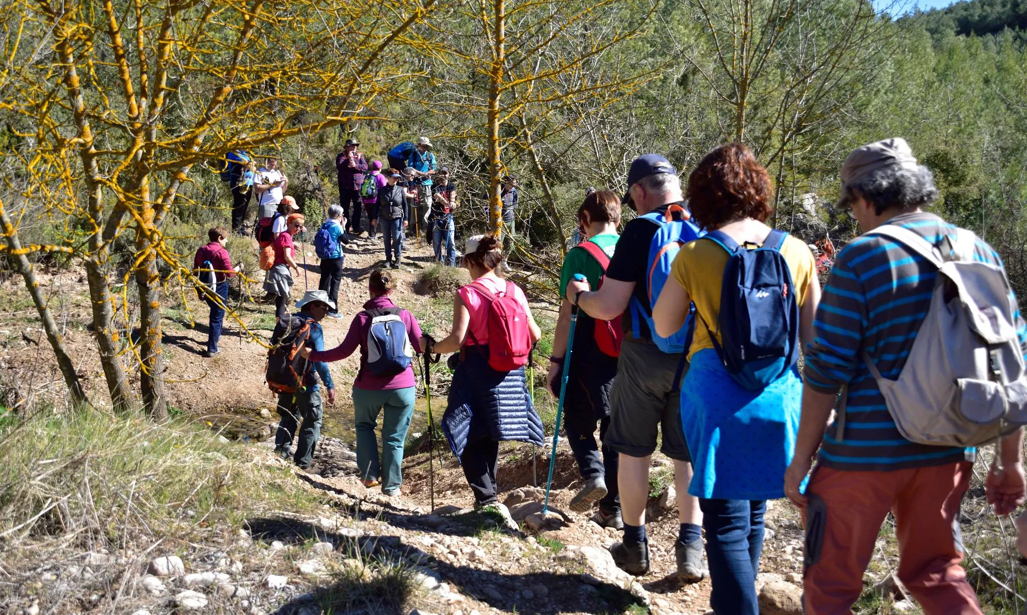 El CEBV ja està preparant noves caminades en grups més reduïts, d'unes 30 persones.