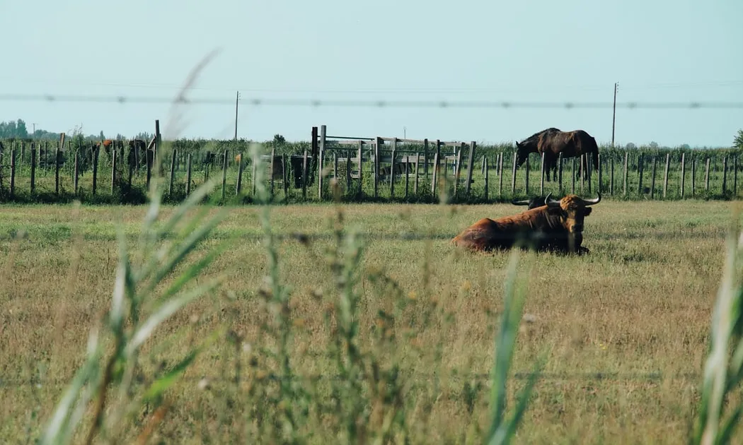 La nota mitjana a l'interés que desperten aquests tipus d'espectacles és la més baixa de tots els esdeveniments culturals. Font: Unsplash.