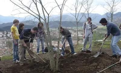 Ajuts a entitats sense ànim de lucre del tercer sector ambiental de Catalunya afectades econòmicament per la COVID-19