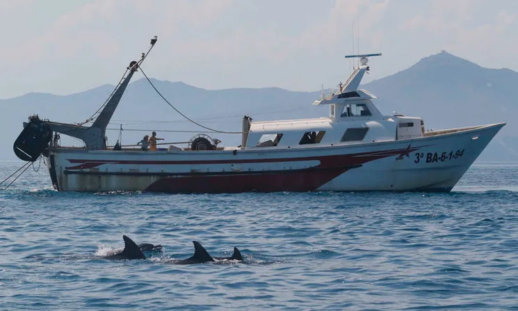 A dia d'avui compten amb 400 milles nàutiques navegades i informació de gairebé dos centenars d'individus.