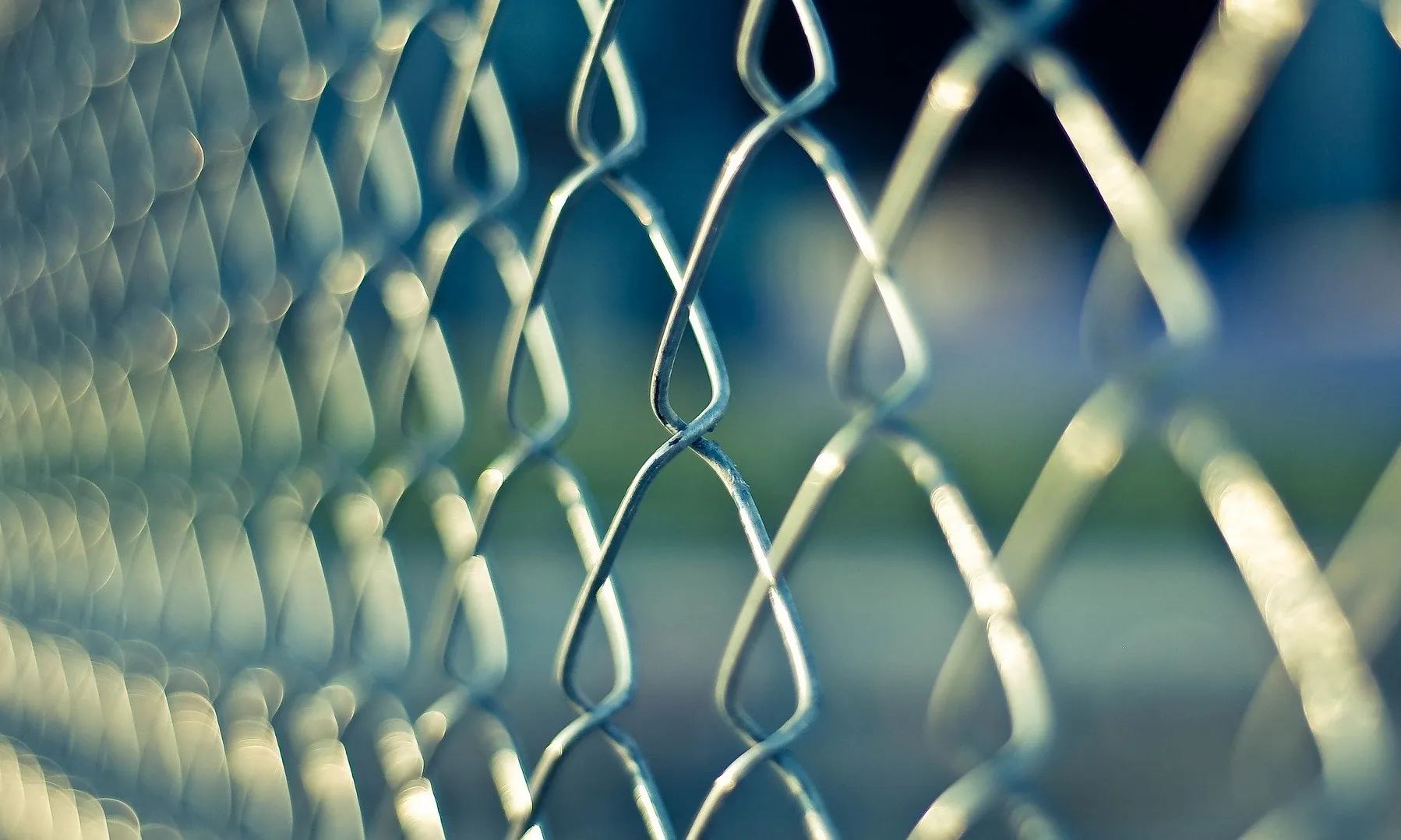 Imatge de Free-Photos a Pixabay 
