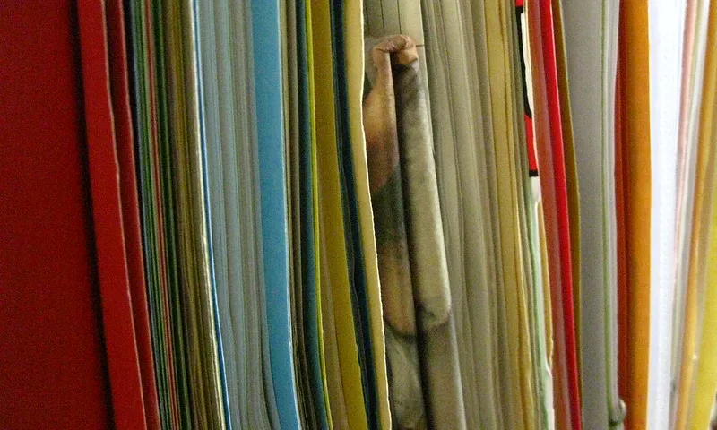 Fotografia d'unes carpetes amb documents. Imatge de EvelynGiggles. Llicència d'ús CC BY 2.0
