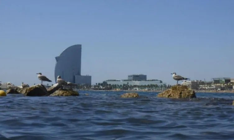 Gràcies a la participació ciutadana s’aconseguiran dades que les persones investigadores faran servir per la recerca 