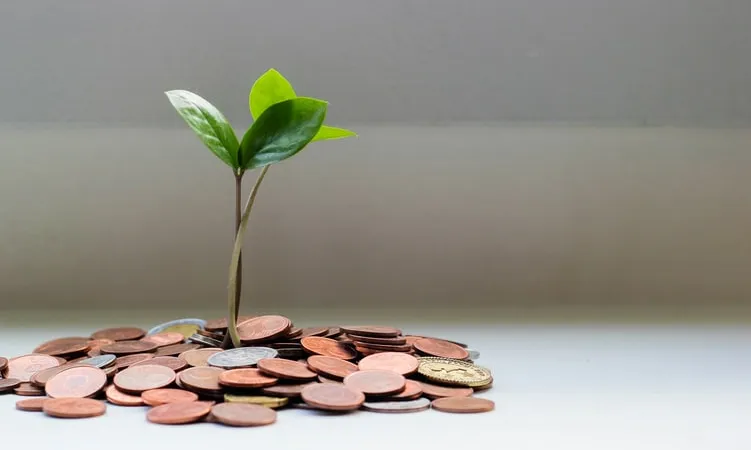 A diferència de l’IMV, la Renda Bàsica no cal demanar-la, sinó que es rep directament. Font: Unsplash.