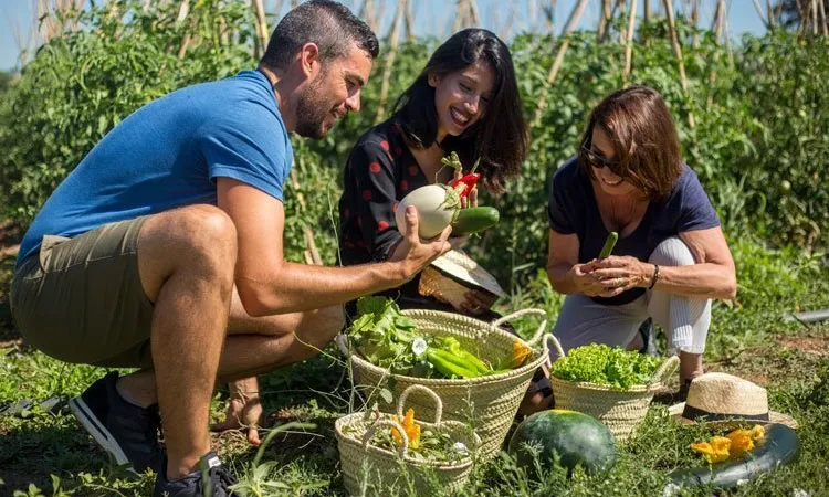 La iniciativa pretén crear sinèrgies entre els actors turístics locals. 