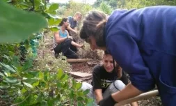 Voluntariat de Boscos Mediterranis.