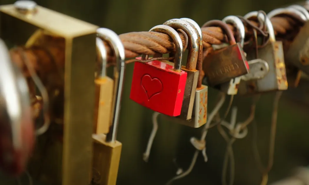 Les assegurances són una eina de previsió i prevenció de riscos molt recomanables i, en alguns casos, obligatòries, per a les entitats. Font: Unsplash.