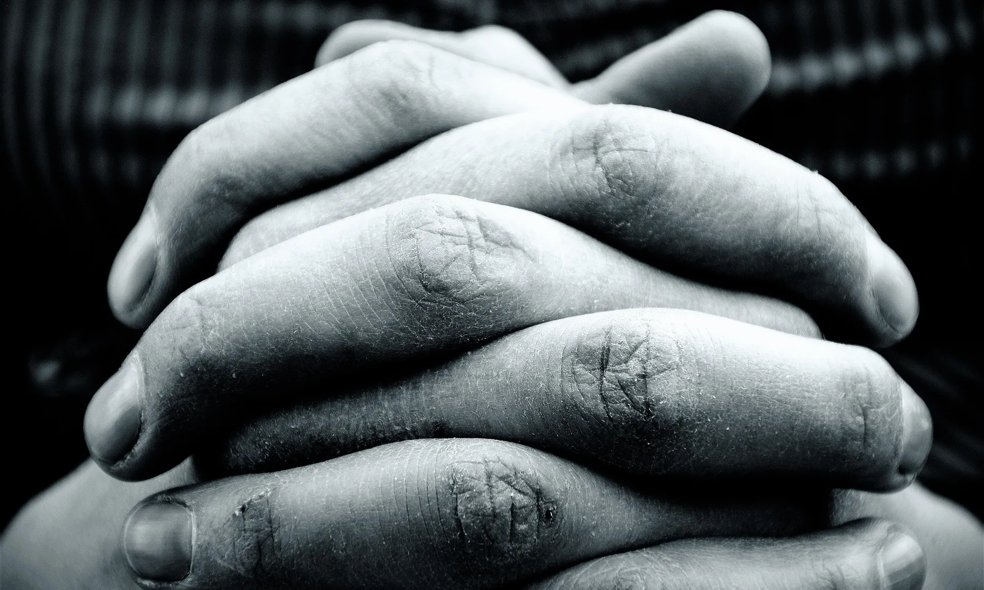 Imatge de Jenny Friedrichs a Pixabay 