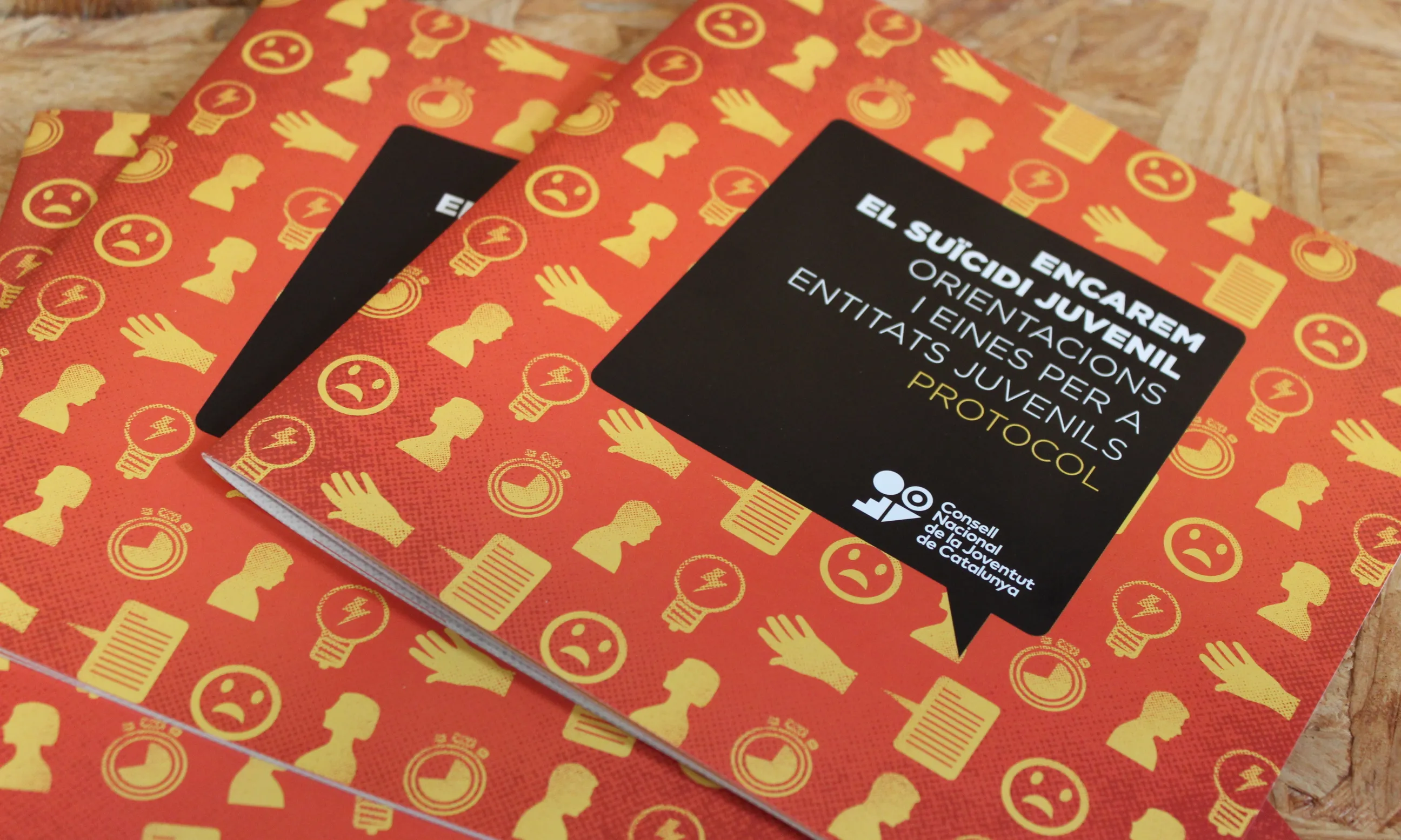 La publicació 'Encarem el suïcidi juvenil' compta amb un protocol d'actuació en cas de mort per suïcidi.