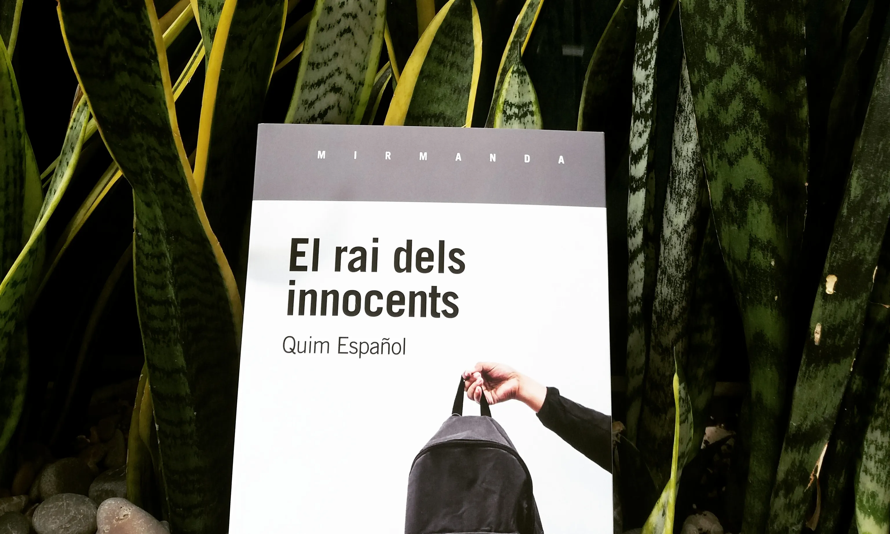 'El rai dels innocents' explica algunes de les vivències de l'autor durant la seva etapa de professor voluntari.