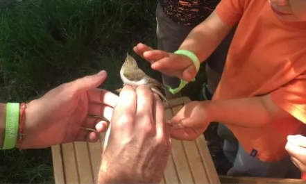 Des de XCN recorden la gran tasca de les entitats ambientals per garantir un model de desenvolupament humà sostenible per les persones i per la Terra. 