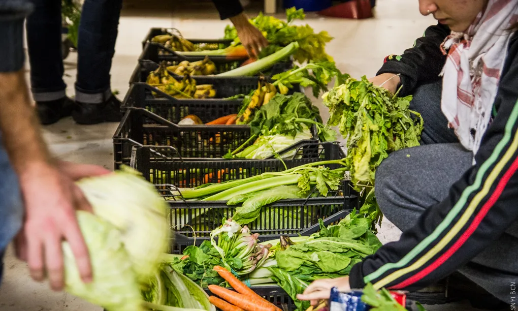 El Banc dels Aliments de Lleida va batre el rècord de tones repartides durant l'any 2019.