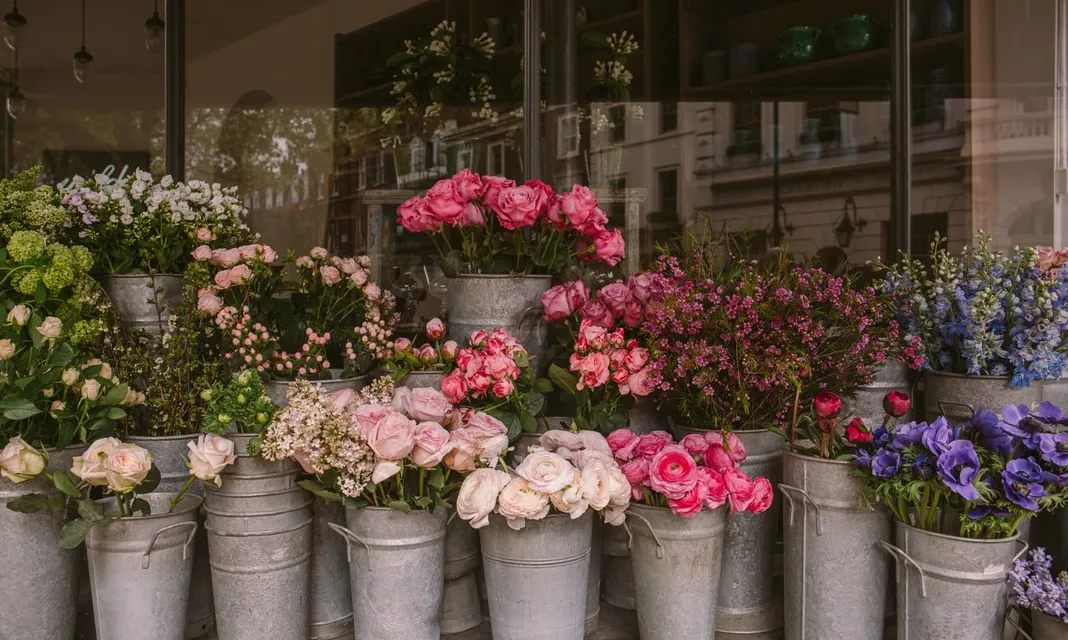 Tot i que Armengol té diverses comandes a la floristeria, preveu que les vendes rondaran sobre el 50% de l’habitual  a tots sants. Font: Unsplash.