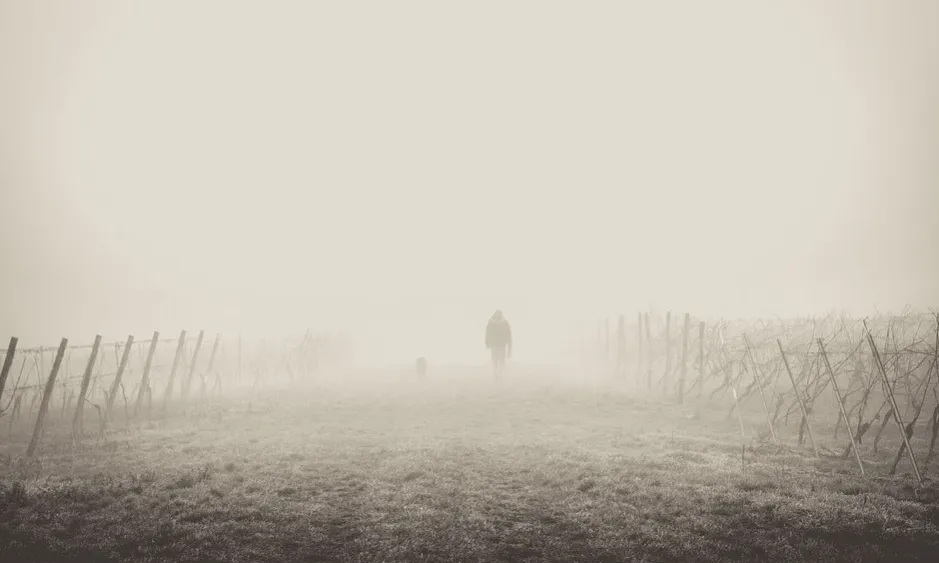 Les fronteres han anat adquirint un significat polític associat a conceptes de possessió i de control. 