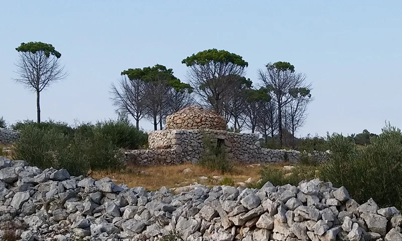 Fotografia d'un paisatge amb una barraca de Pedra Seca. Foto de Maite Oliva