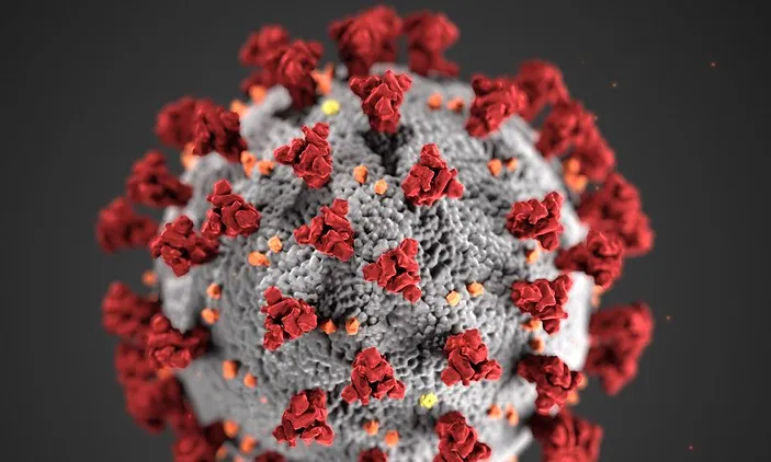 Composició gràfica del coronavirus. Imatge de Alachua County. Imatge Domini públic. 