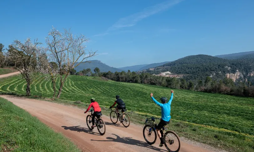 La bicicleta representa només un 3% de la mobilitat total. 