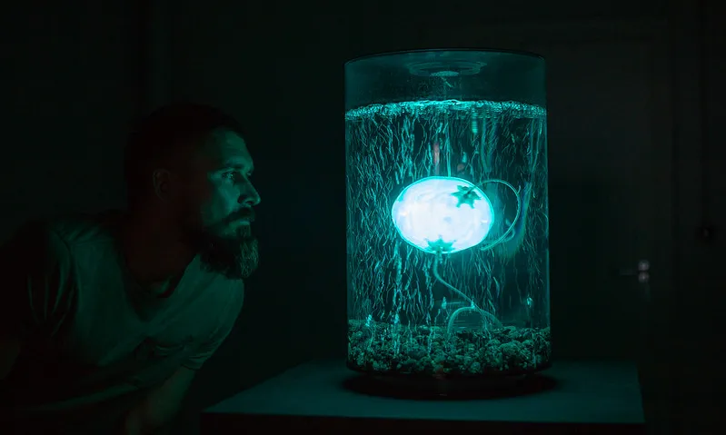 Fotografia d'una instal·lació artística sobre intel·ligència artificial. Imatge de Ars Electronica. Llicència d'ús CC BY-NC-ND 2.0