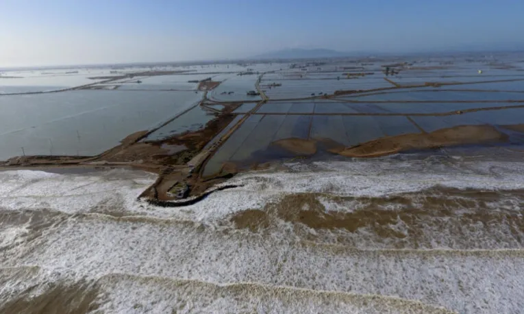 Entitats ecologistes de Catalunya han signat un manifest en defensa de respectar la dinàmica natural del Delta.