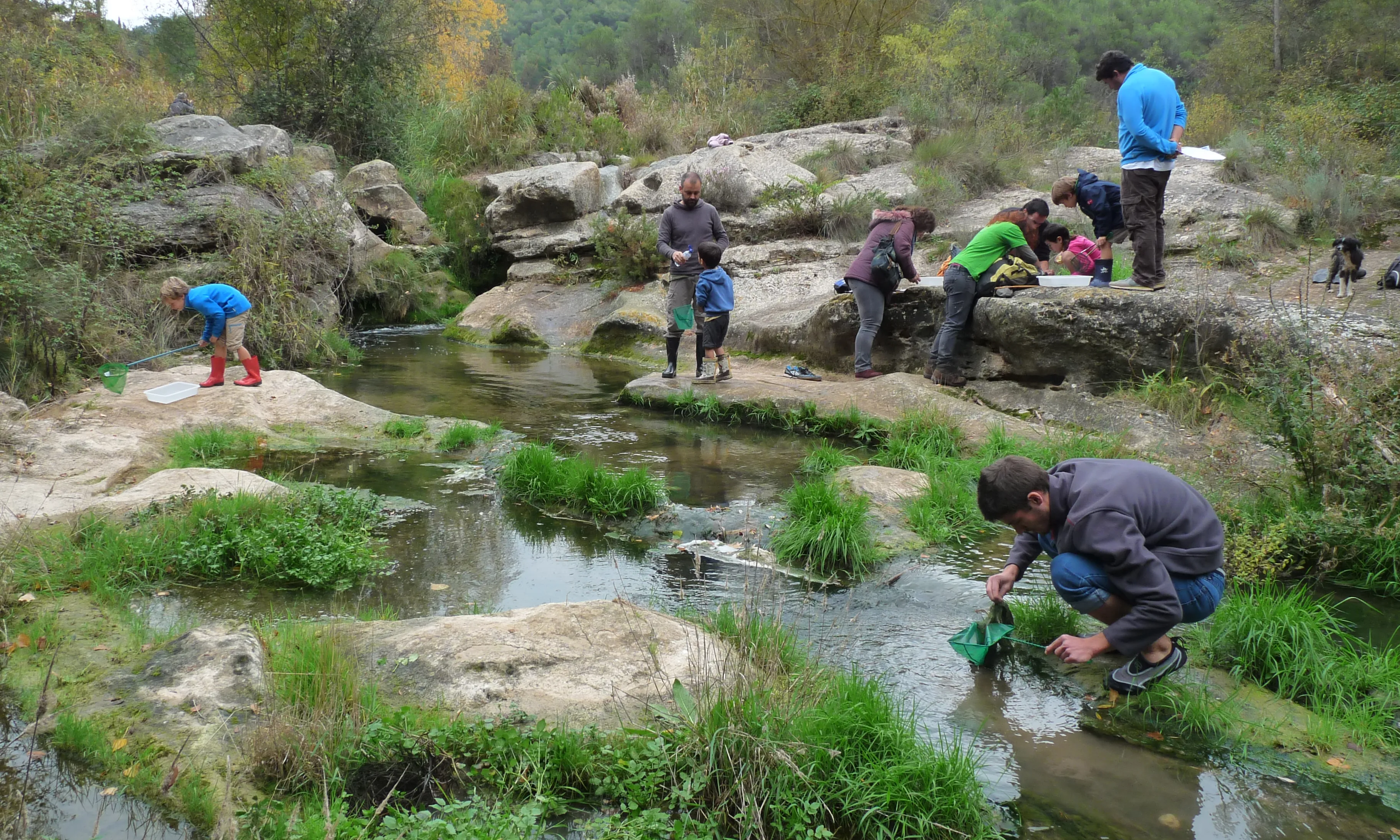 Recentment Hàbitats ha rebut el premi Natura pel projecte Rius