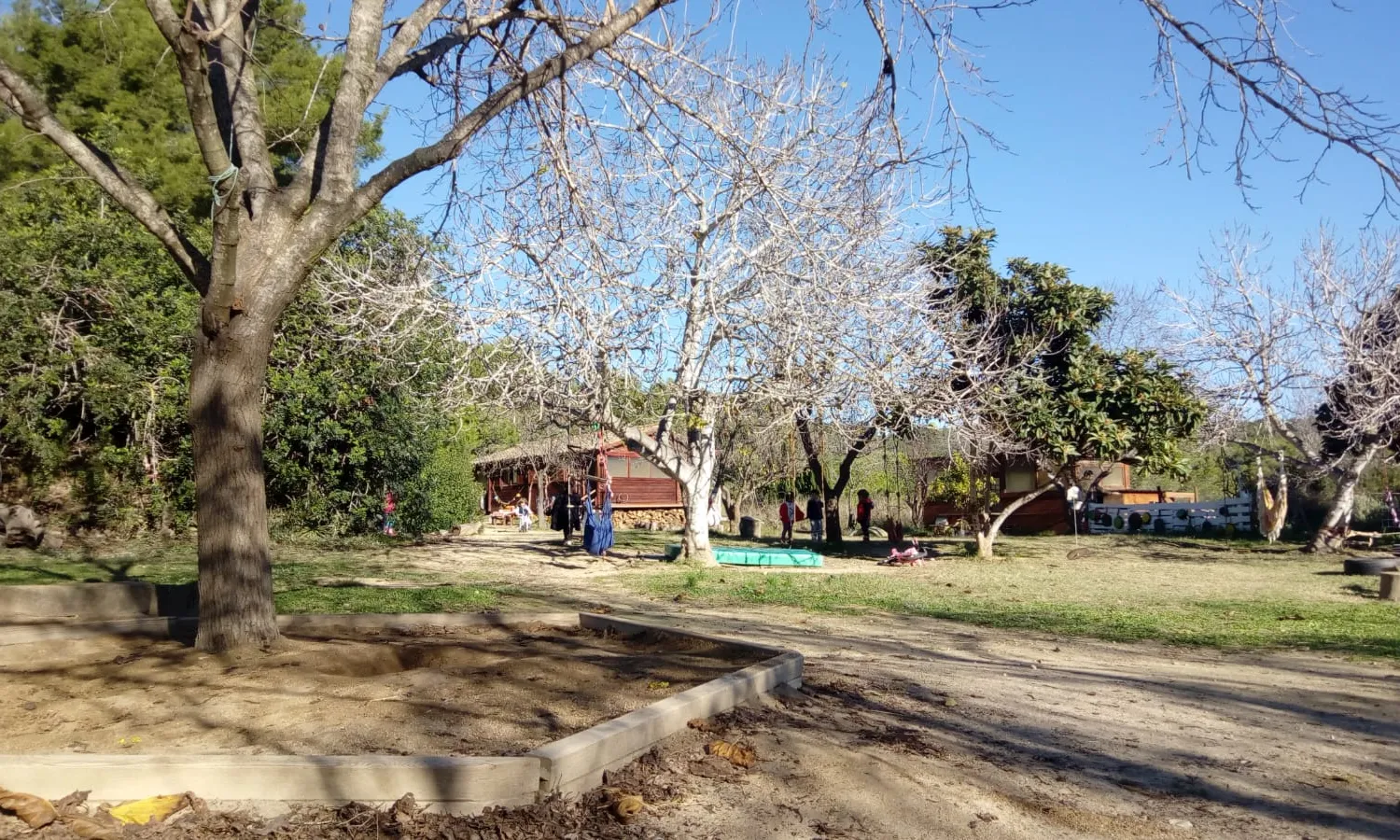 Nens i nenes de l'escola Petit Eden juguen en un entorn de bosc