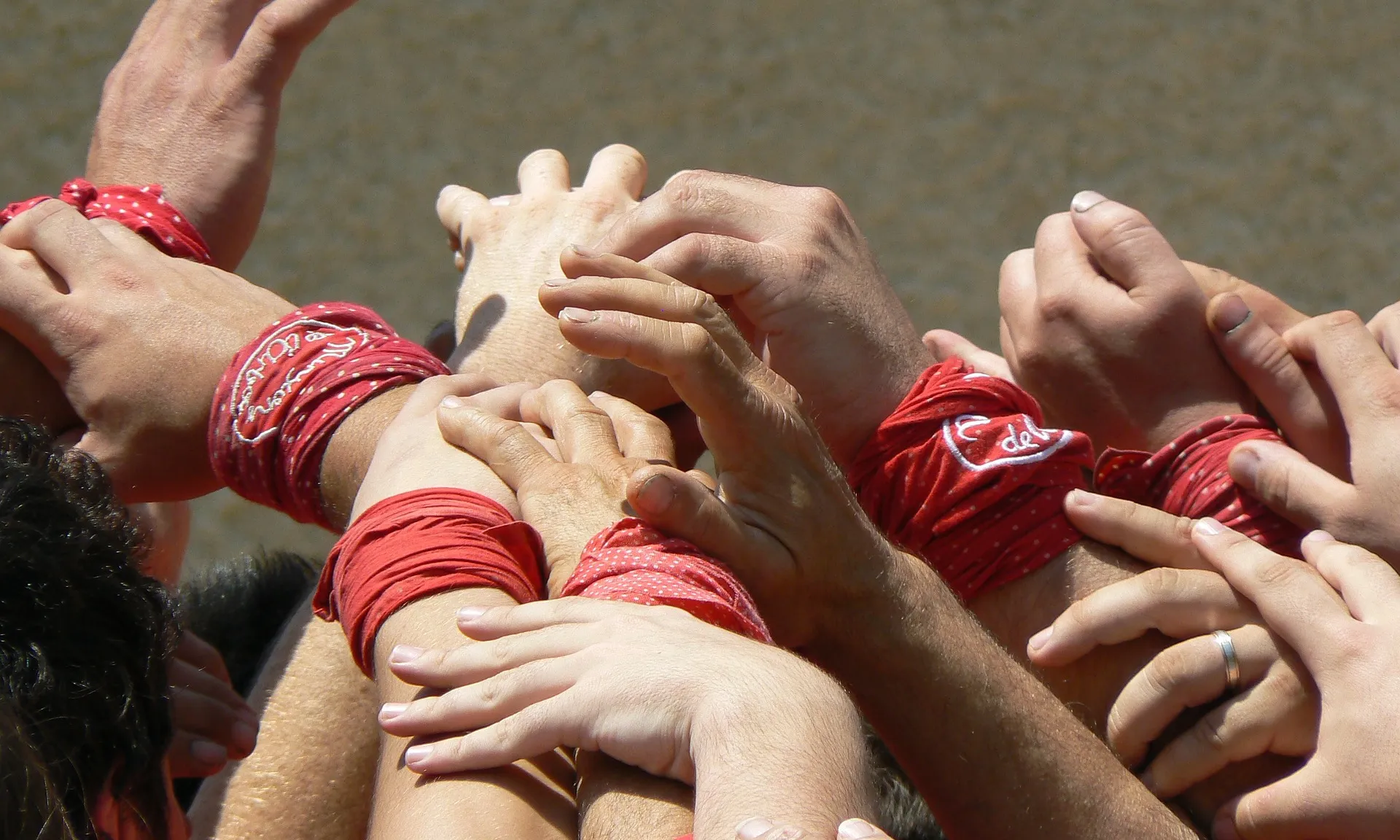 L'Observatori de l’Afectació de la Covid-19 compta amb la col·laboració de les vuit colles castelleres de Barcelona.