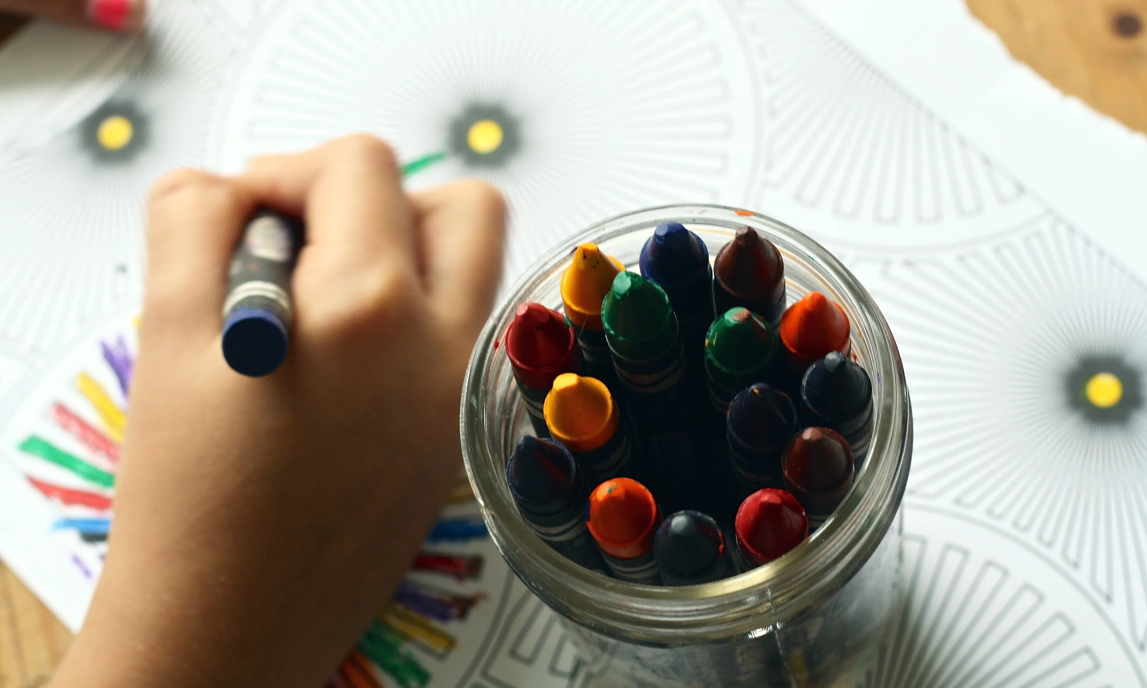 La plataforma inicia la campanya 'Centres Educatius Objectors' en el marc del Dia Escolar de la Noviolència i la Pau.