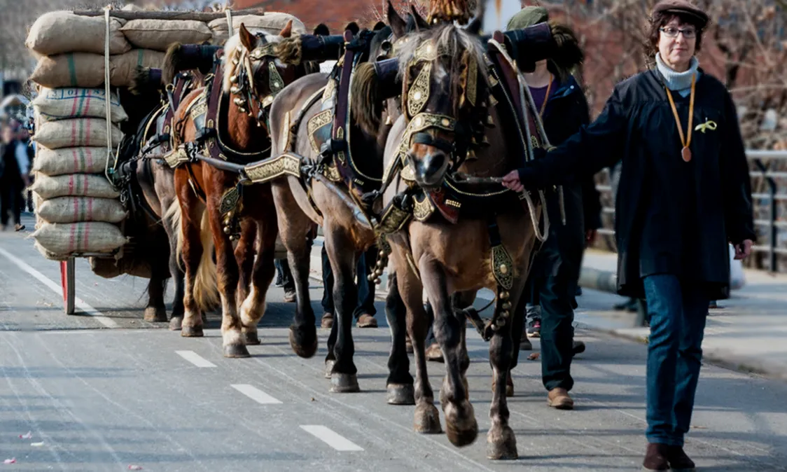 Els Tres Tombs celebren la festivitat de sant Antoni Abat, protector dels animals. 