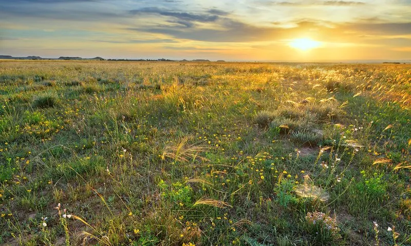 Els secans de Lleida són un tresor de la nostra natura.