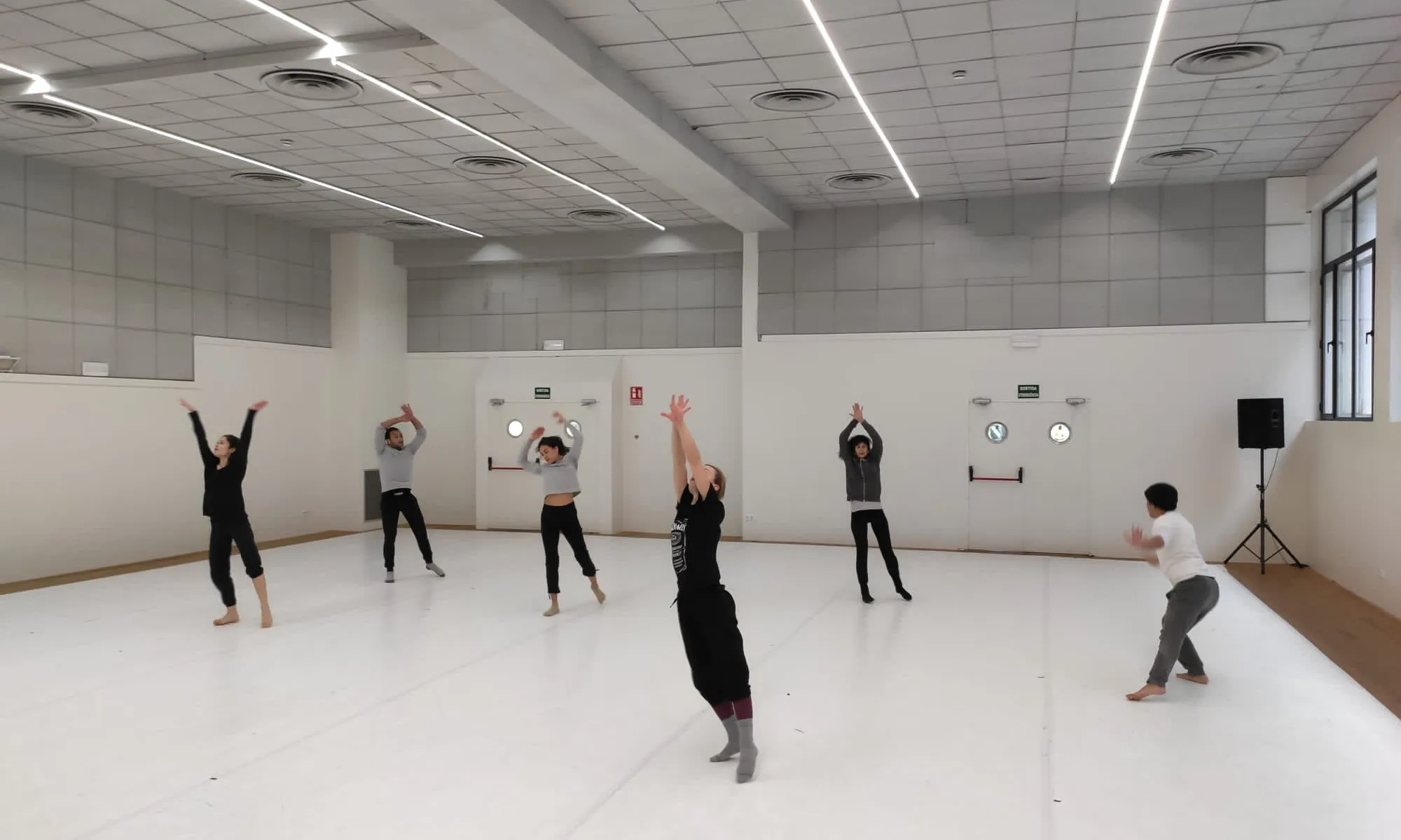 La dansa i el circ han de mantenir suspeses les seves activitats fins al proper 7 de febrer. 