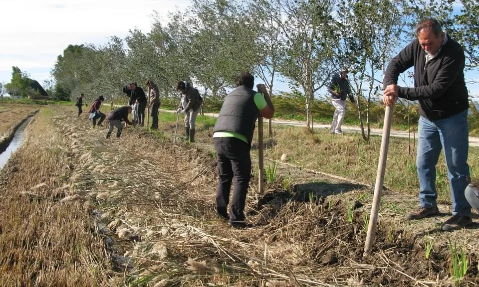 L'entitat de voluntariat ambiental enguany compleix vint anys.