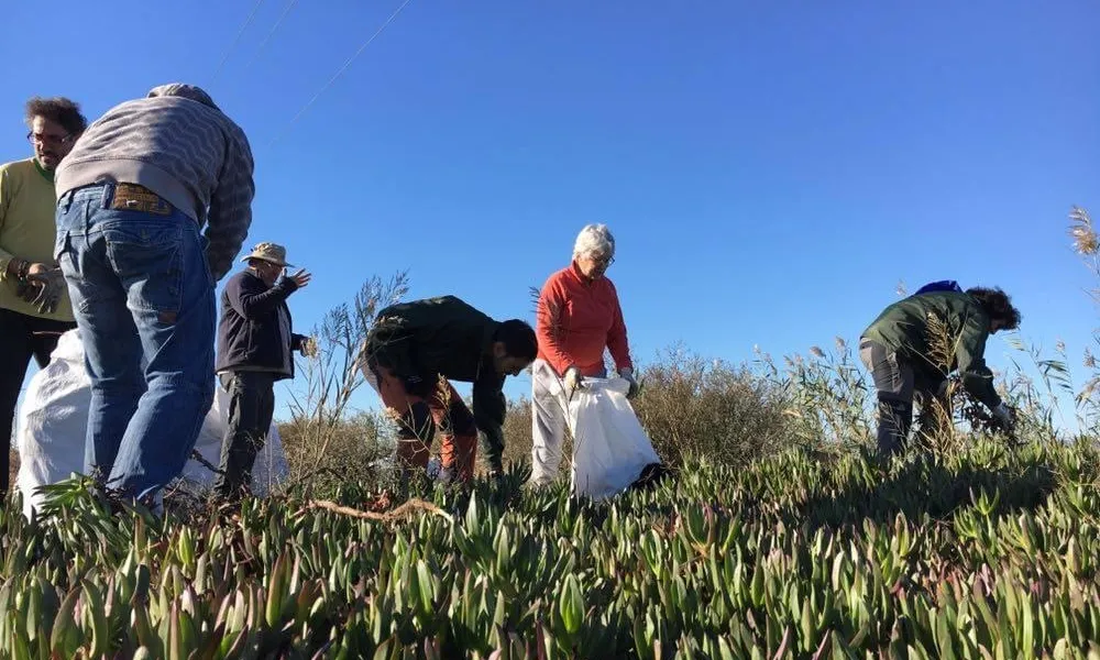 Les activitats de l'entitat s'han vist afectades pel context de pandèmia actual.
