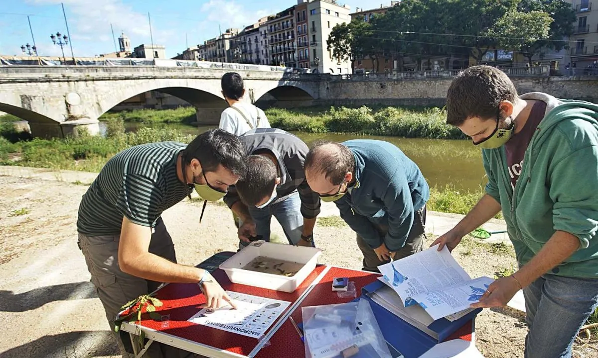 L'Associació de Naturalistes de Girona considera esencial estudiar les nostres relacions amb l’entorn i han decidit impulsar el projecte ‘Gironins i Rius.