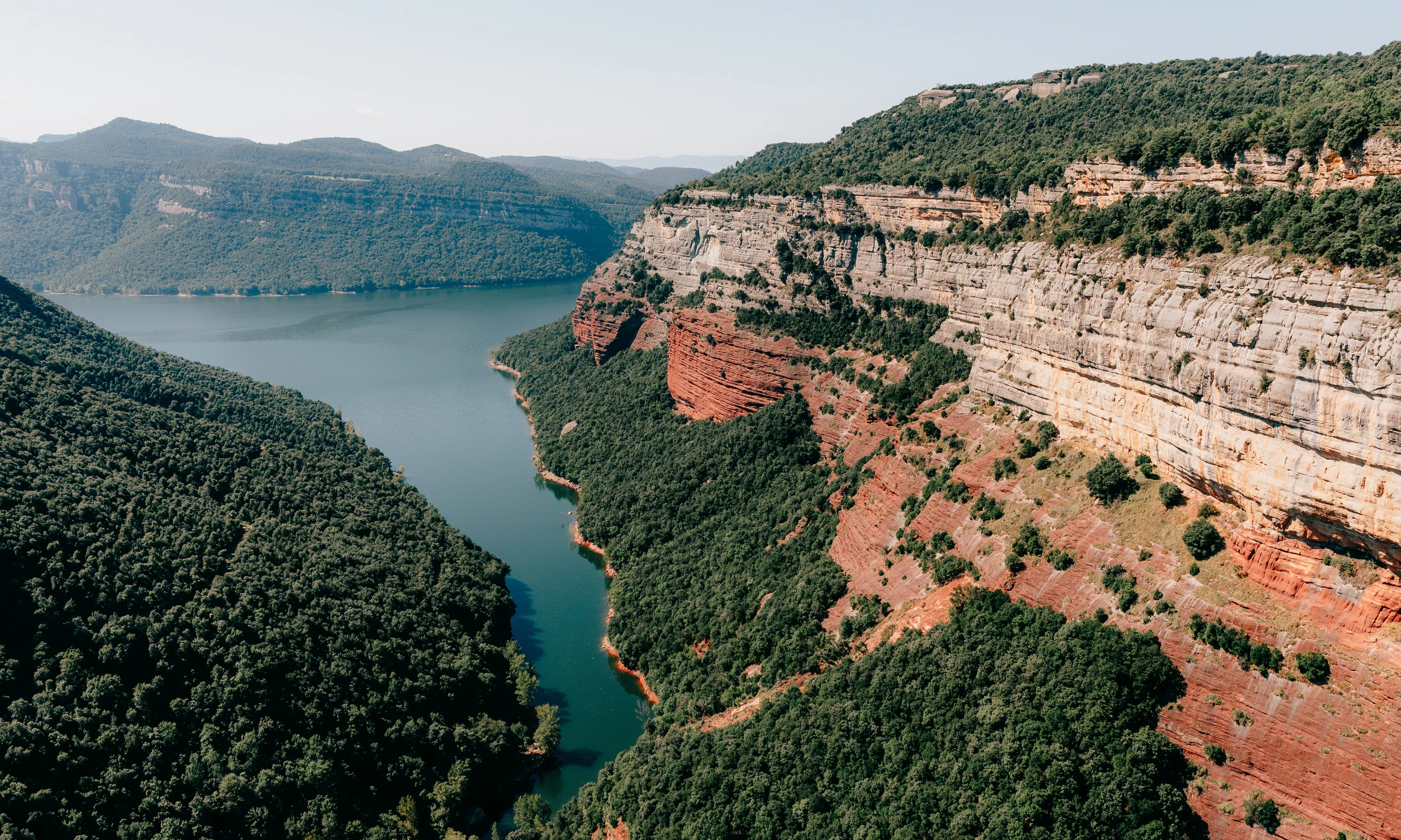La XCN i SEO/BirdLife han analitzat més de 860 propostes recollides en els programes electorals dels partits.