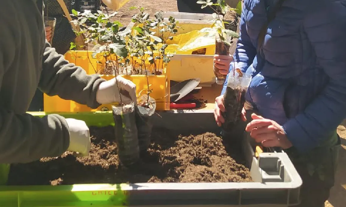 El projecte, emmarcat en la lluita contra el canvi climàtic, fomenta la participació ciutadana per una cultura pel clima a partir de la millora de la biodiversitat. Font: Voluntariat Ambiental per la Biodiversitat Urbana.