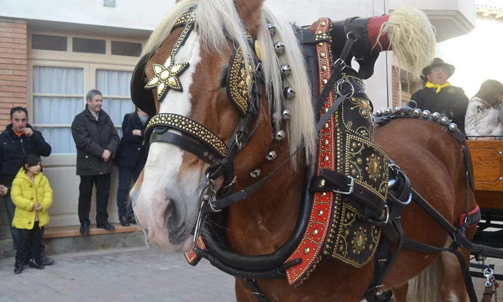 El Passant dels Tres Tombs, l'acte central de les festes, es convertirà en una benedicció dels animals.