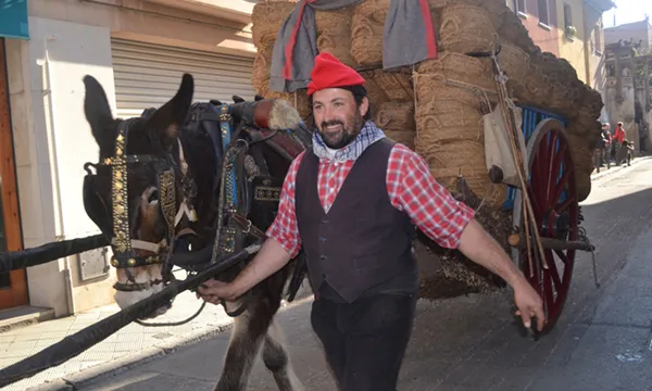 La Festa dels Tonis de Taradell és considerada Festa Tradicional d’Interès Nacional.