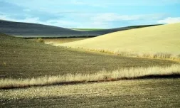 Beneficis agrícoles de la conservació de la natura.