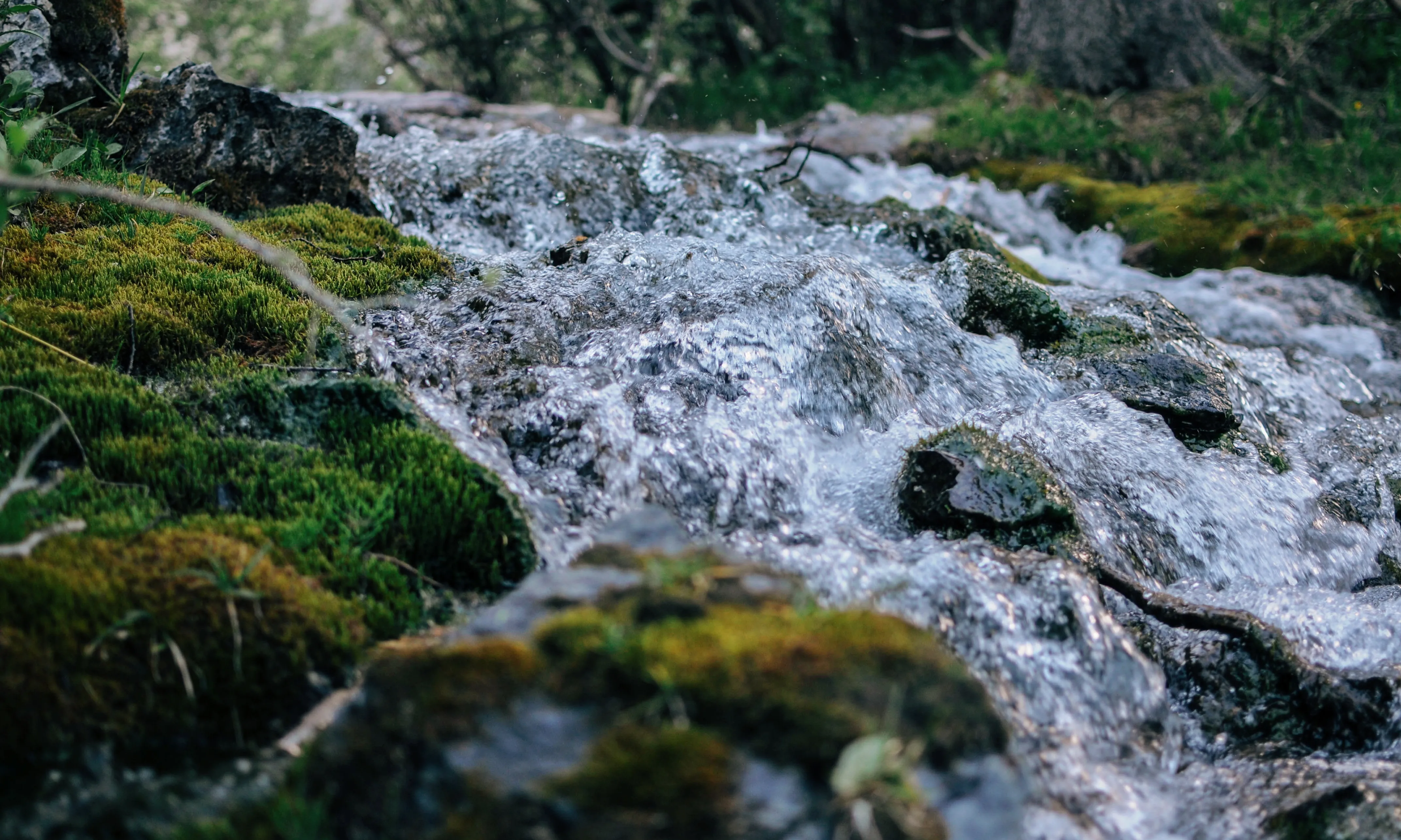 Aigua baixant d'un riu