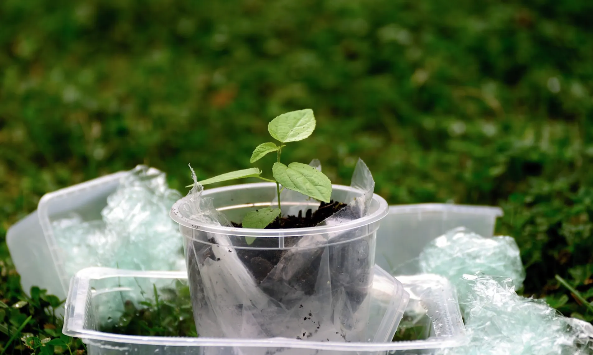 Contaminació microplàstica a la terra