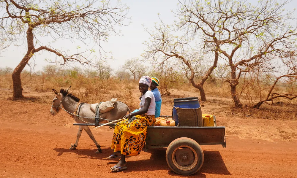 Aigua per al Sahel ha portat aigua potable a més de 250.000 persones.