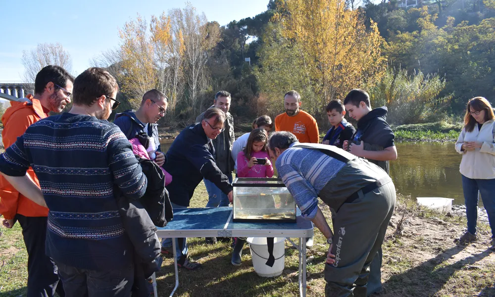 Activitat a la zona de l’aiguabarreig del Congost i el Mogent, a Montmeló, amb investigadors de l’Observatori Rivus.