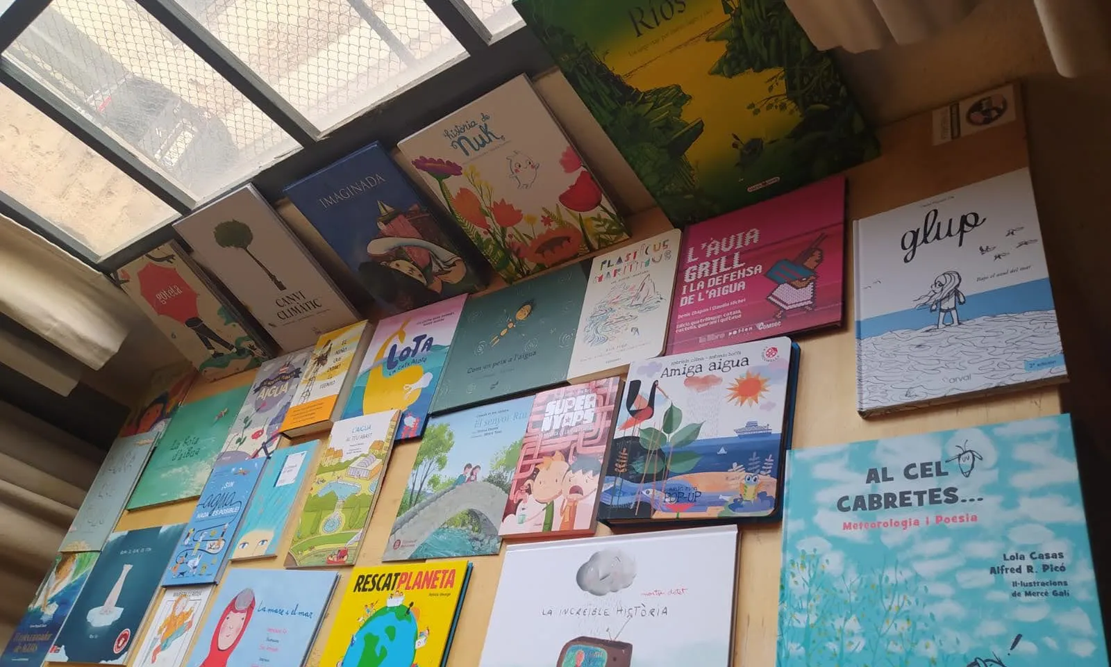 Tot tipus de llibres sobre l'aigua i els drets a punt per arribar a les escoles