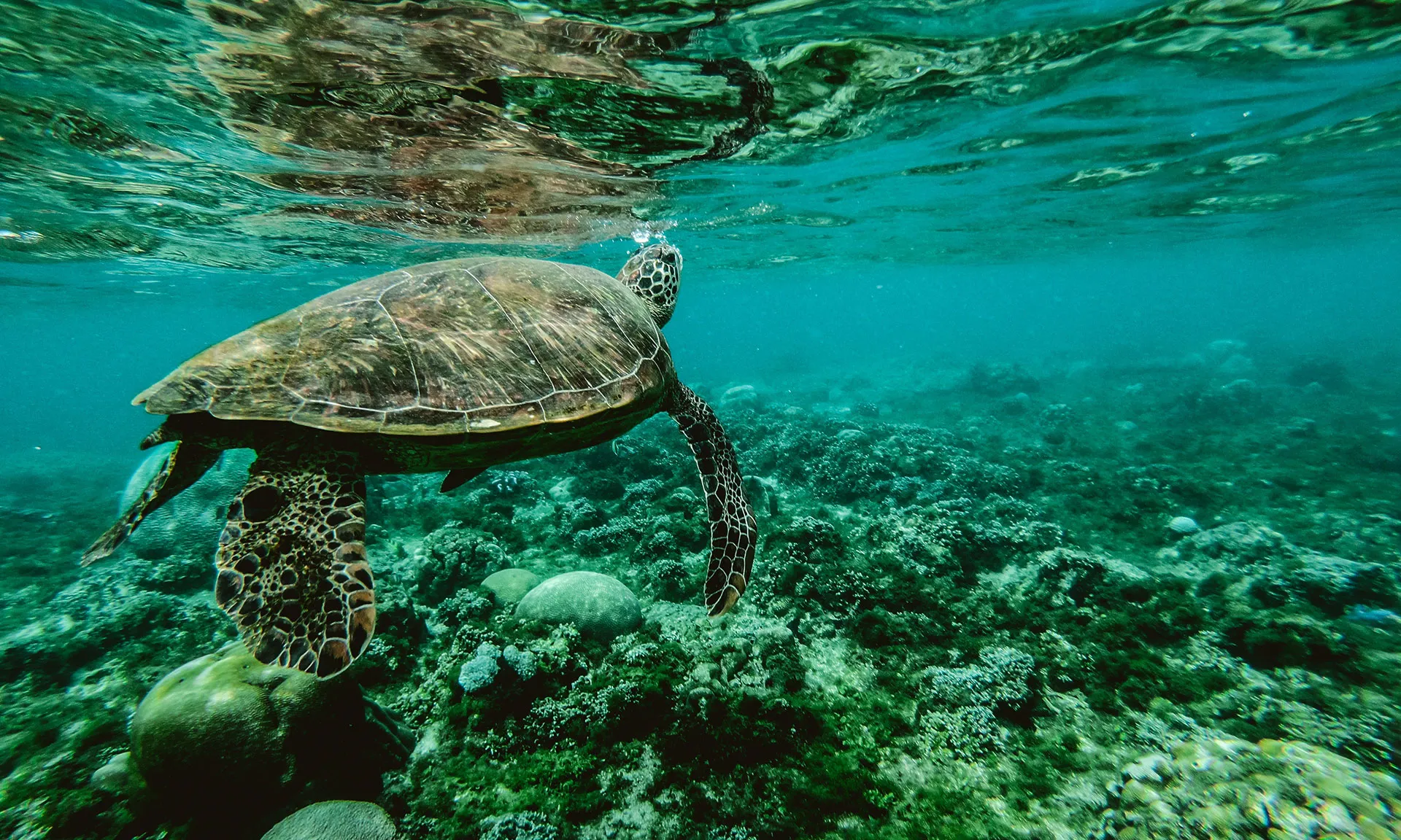 Convocatòria 'Santander for the Seas' de la Fundación Banco Santander 2021