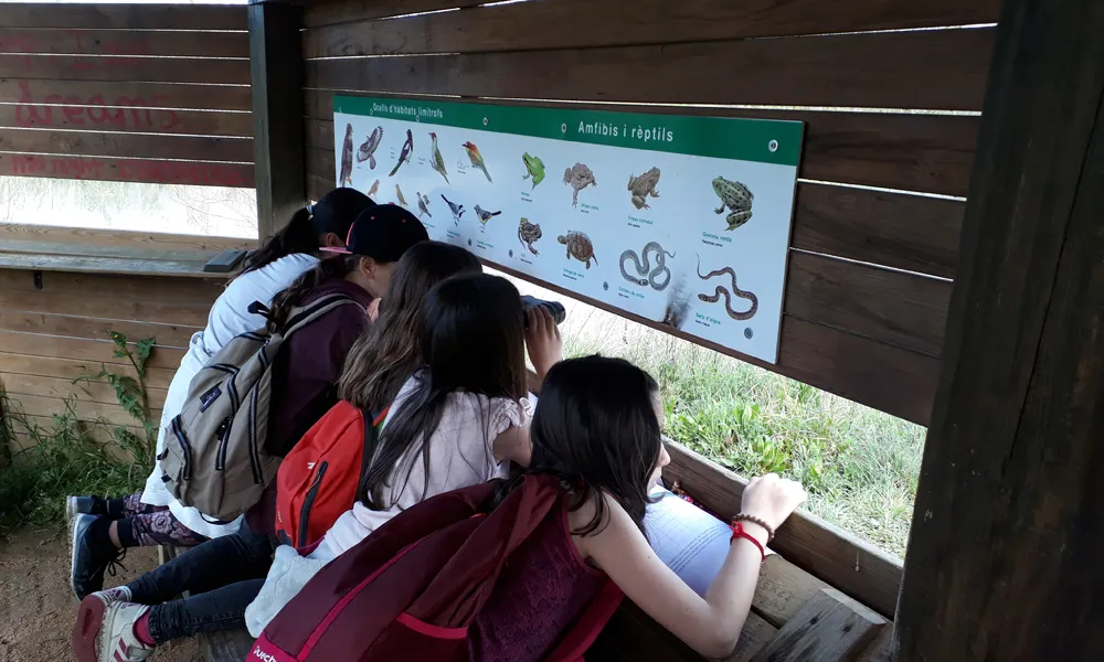 D'entre les línies d'actuació de la Fundació Rivus destaca l'educació i promoció ambiental.
