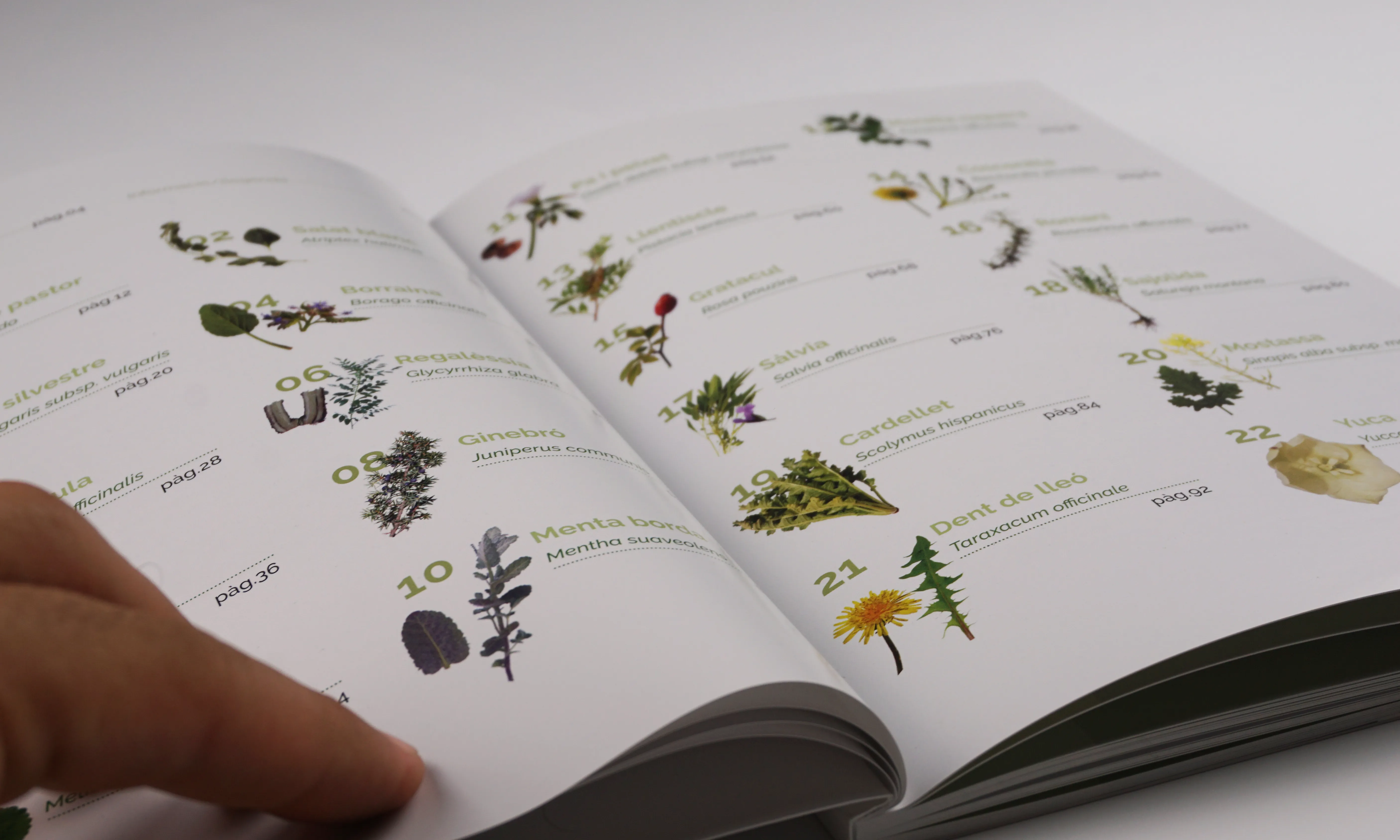 La divulgació d'aquestes espècies desconegudes és una eina imprescindible per revalorar-les i recuperar els seus usos.